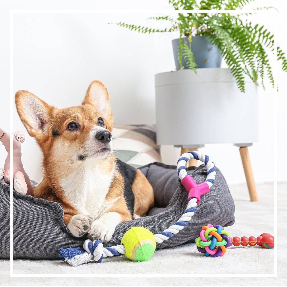 Tidy Home Accessories