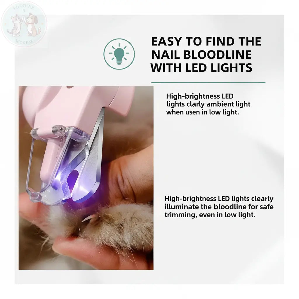 LED Bloodline Feature Infographic