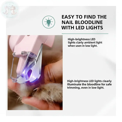 LED Bloodline Feature Infographic