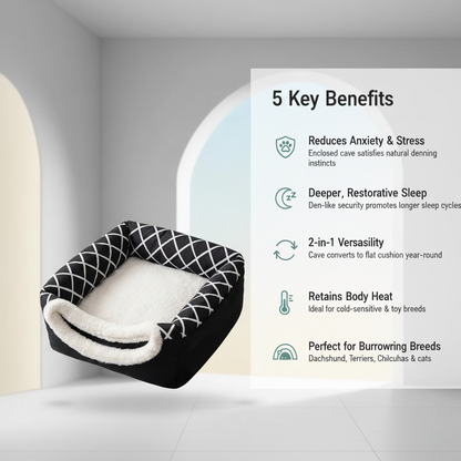 2-in-1 Pet Bed 5 Key Benefits Infographic
