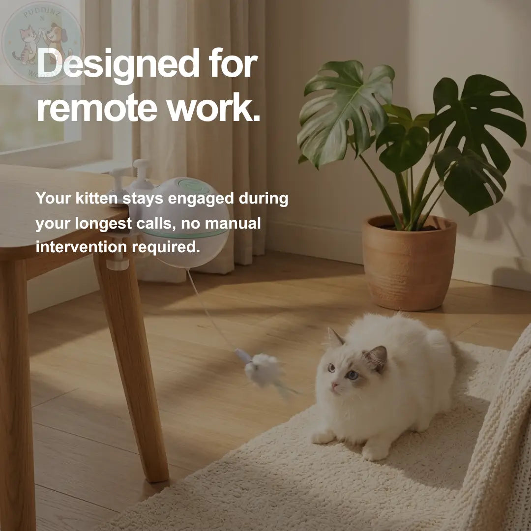 Automatic Cat Toy – Interactive Teaser for Indoor Cats Puddinz n Woofaz   Puddinz n Woofaz