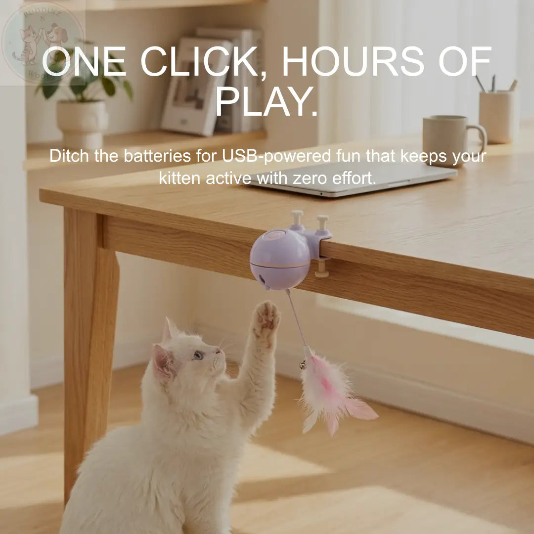 Automatic Cat Toy – Interactive Teaser for Indoor Cats Puddinz n Woofaz   Puddinz n Woofaz