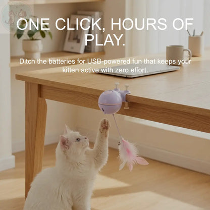 Automatic Cat Toy – Interactive Teaser for Indoor Cats Puddinz n Woofaz   Puddinz n Woofaz