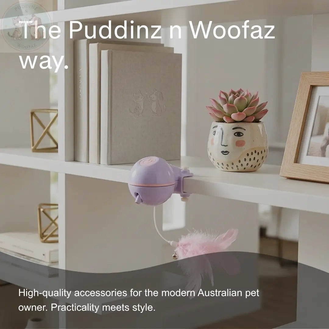 Automatic Cat Toy – Interactive Teaser for Indoor Cats Puddinz n Woofaz   Puddinz n Woofaz