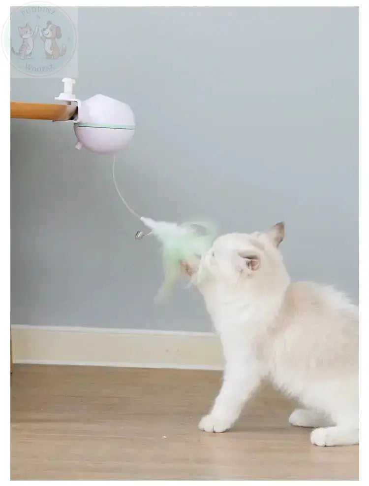 Automatic Cat Toy