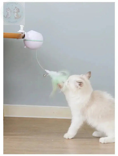 Automatic Cat Toy