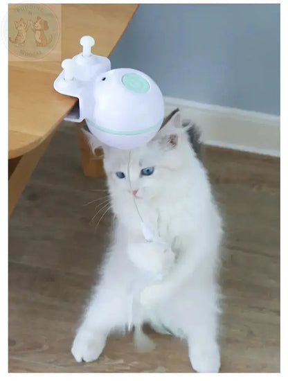 Automatic Cat Toy