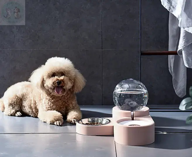 automatic pet water