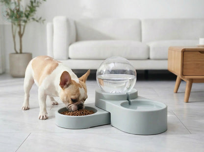 Automatic Pet Water Dispenser –|Self-Filling Fountain for Dogs and Cat Puddinz n Woofaz   Puddinz n Woofaz