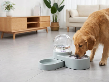 Automatic Pet Water Dispenser –|Self-Filling Fountain for Dogs and Cat Puddinz n Woofaz   Puddinz n Woofaz