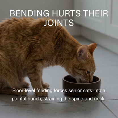 Raised Cat Bowl Stand – Elevated Feeder for Neck Relief and Comfort