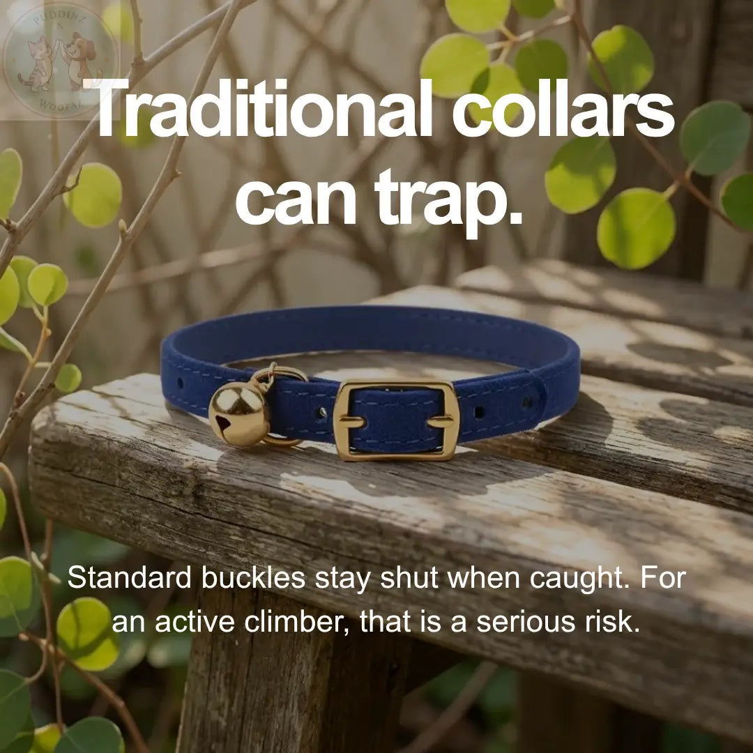 Cat Collar with Bell – Adjustable Breakaway Safety Buckle Puddinz n Woofaz   Puddinz n Woofaz