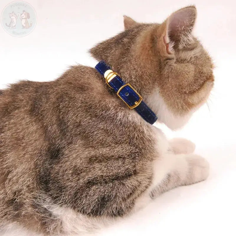 Cat collar with bell