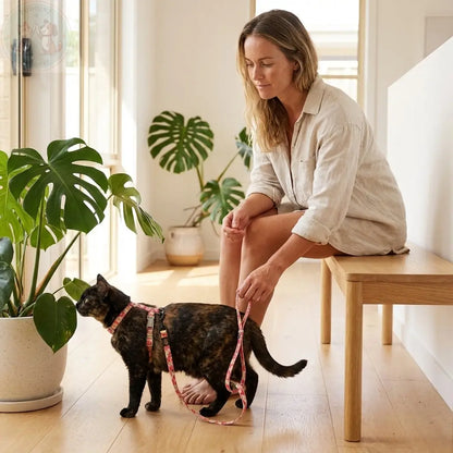 Cat Harness and Leash – Japanese Style Walking Set Puddinz n Woofaz   Puddinz n Woofaz