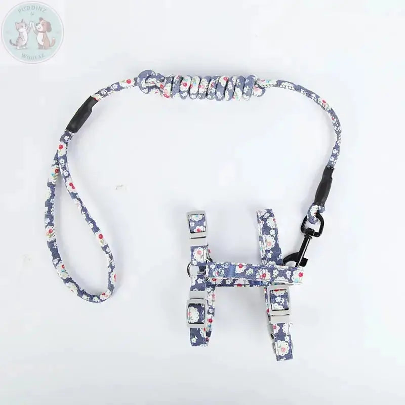 Cat harness and leash