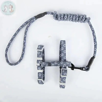 Cat harness and leash