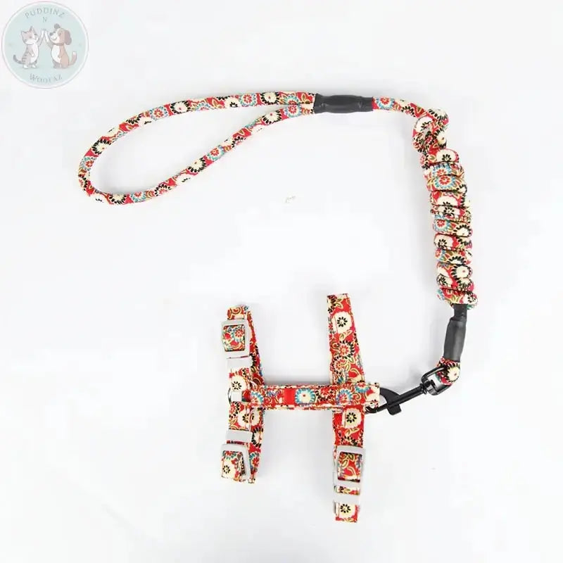 Cat harness and leash