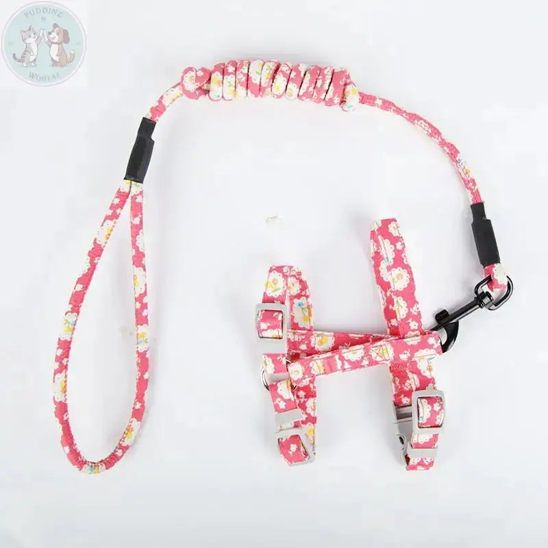 Cat harness and leash