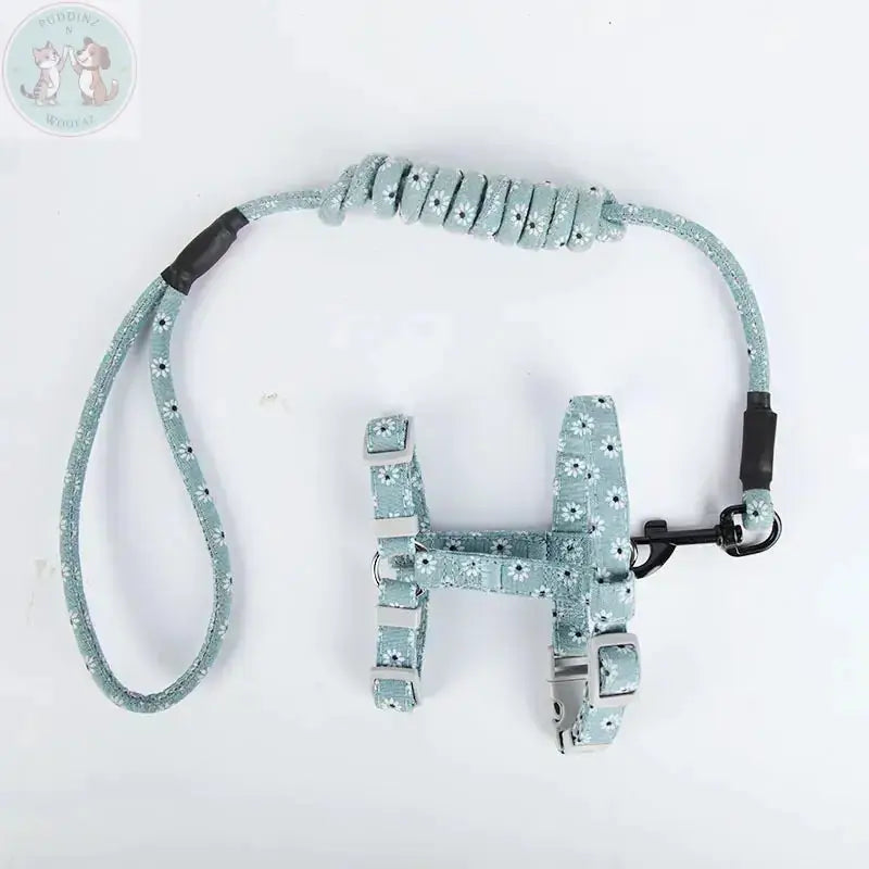 Cat harness and leash