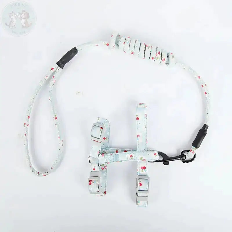 Cat harness and leash