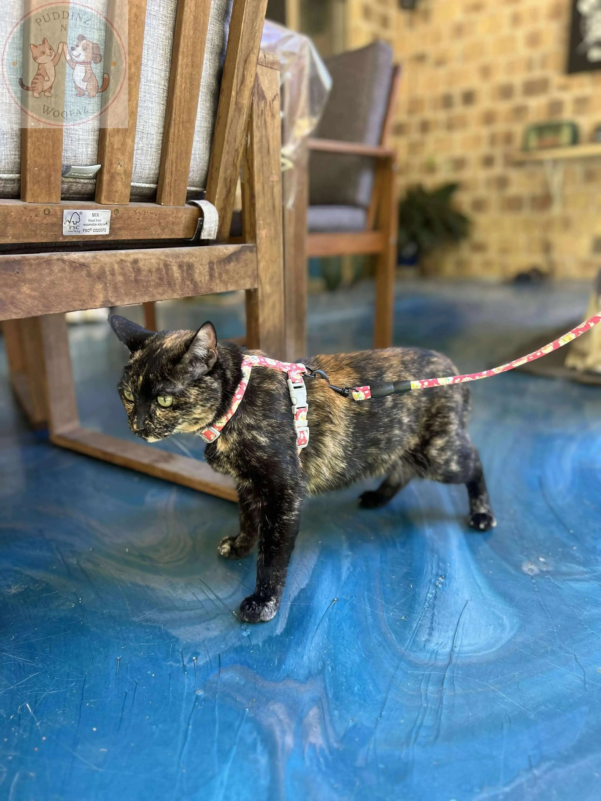 Cat Harness and Leash – Japanese Style Walking Set Puddinz n Woofaz   Puddinz n Woofaz