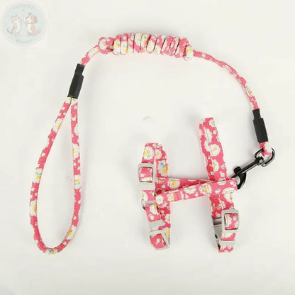 Premium Product Shot - Cat Harness and Leash