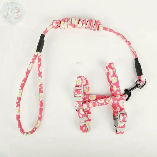 Premium Product Shot - Cat Harness and Leash