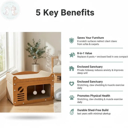 Cat Scratching House – 5 Key Benefits Infographic