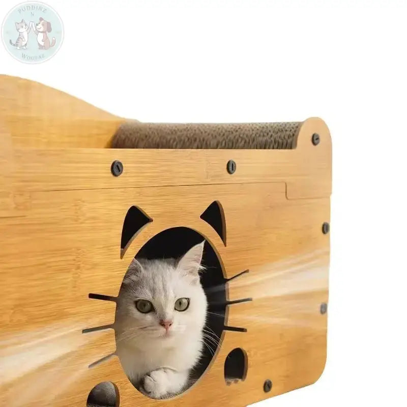 Cat Scratching House with Bed – Enclosed Nest & Post Puddinz n Woofaz  Pet accessories Puddinz n Woofaz