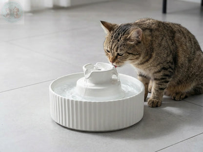 Ceramic Pet Water Fountain - Electric Cat Dog Feeder Puddinz n Woofaz  Pet accessories Puddinz n Woofaz