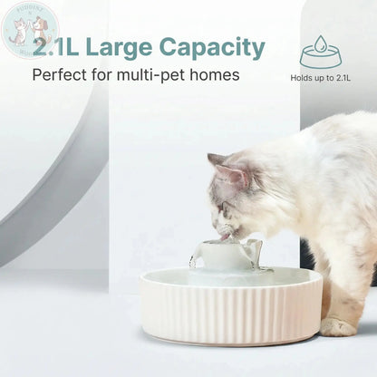 Ceramic Pet Water Fountain - Electric Cat Dog Feeder Puddinz n Woofaz  Pet accessories Puddinz n Woofaz