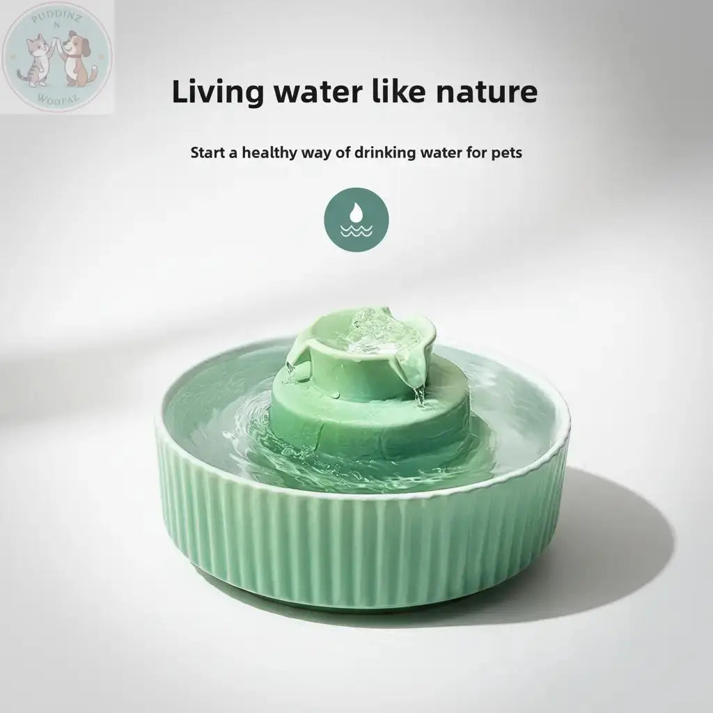 Premium Living Water Like Nature Infographic - Clean Background