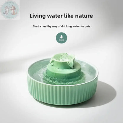Premium Living Water Like Nature Infographic - Clean Background