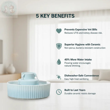 5 Key Benefits - Ceramic Pet Water Fountain Infographic
