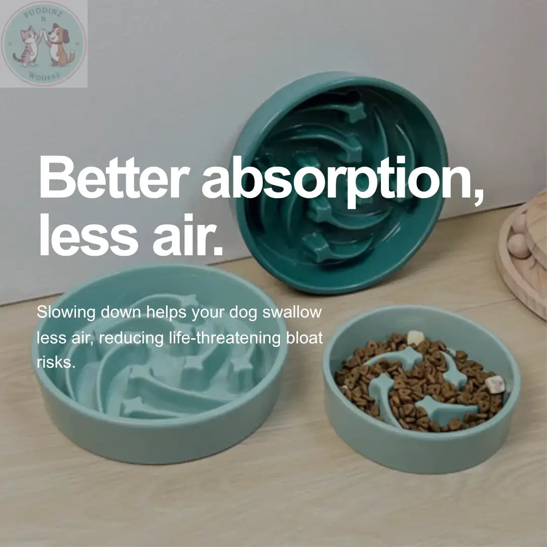 Ceramic Slow Feeder Dog Bowl - Teal Treasur Puddinz n Woofaz  Pet accessories Puddinz n Woofaz