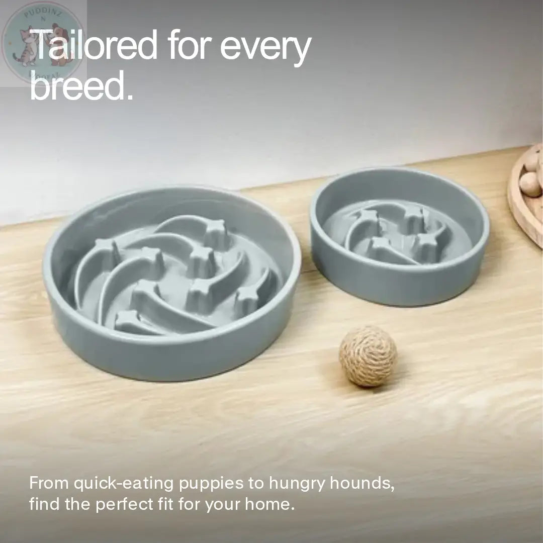 Ceramic Slow Feeder Dog Bowl - Teal Treasur Puddinz n Woofaz  Pet accessories Puddinz n Woofaz