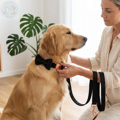 Dog Bow Tie Collar – Adjustable Pet Collar with Metal Buckle for dogs Puddinz n Woofaz   Puddinz n Woofaz