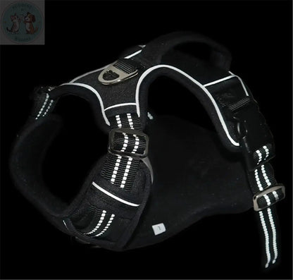 dog harness