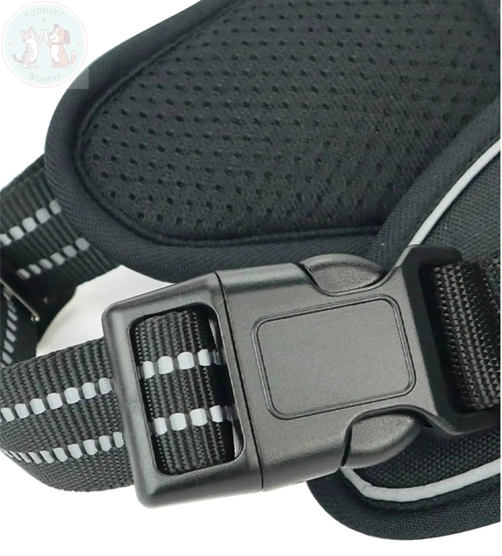 dog harness