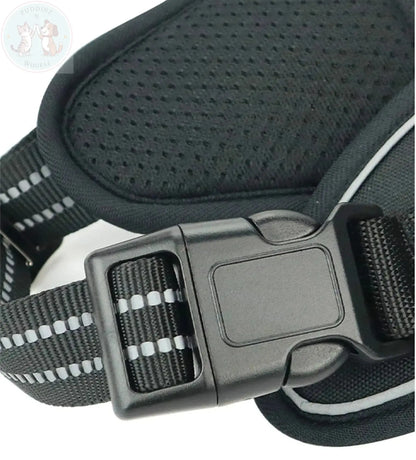 dog harness