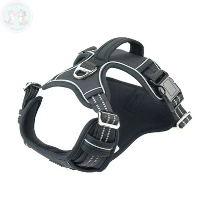 dog harness