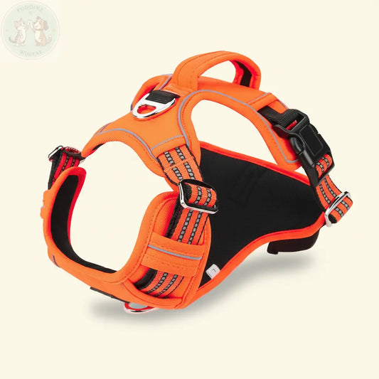 Premium Product Shot - Dog Harness
