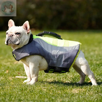 Dog life jacket