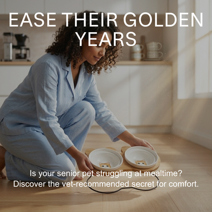 Raised Cat Bowl Stand – Elevated Feeder for Neck Relief and Comfort