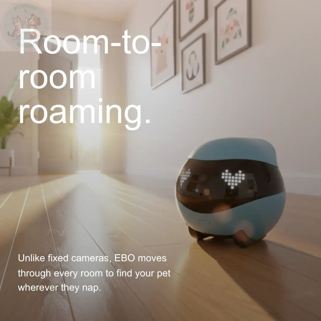 Enabot EBO AIR2 Pet Camera Robot - 2K Home Security Puddinz n Woofaz  Pet accessories Puddinz n Woofaz