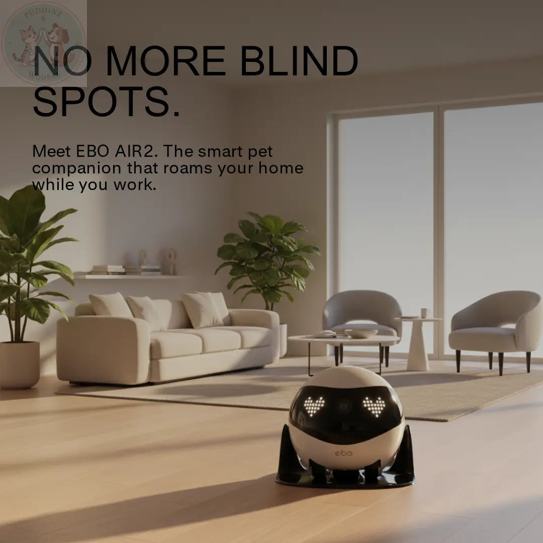 Enabot EBO AIR2 Pet Camera Robot - 2K Home Security Puddinz n Woofaz  Pet accessories Puddinz n Woofaz