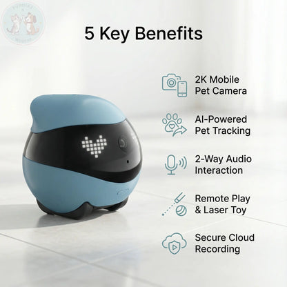 Enabot EBO AIR2 Pet Camera Robot - 2K Home Security Puddinz n Woofaz  Pet accessories Puddinz n Woofaz