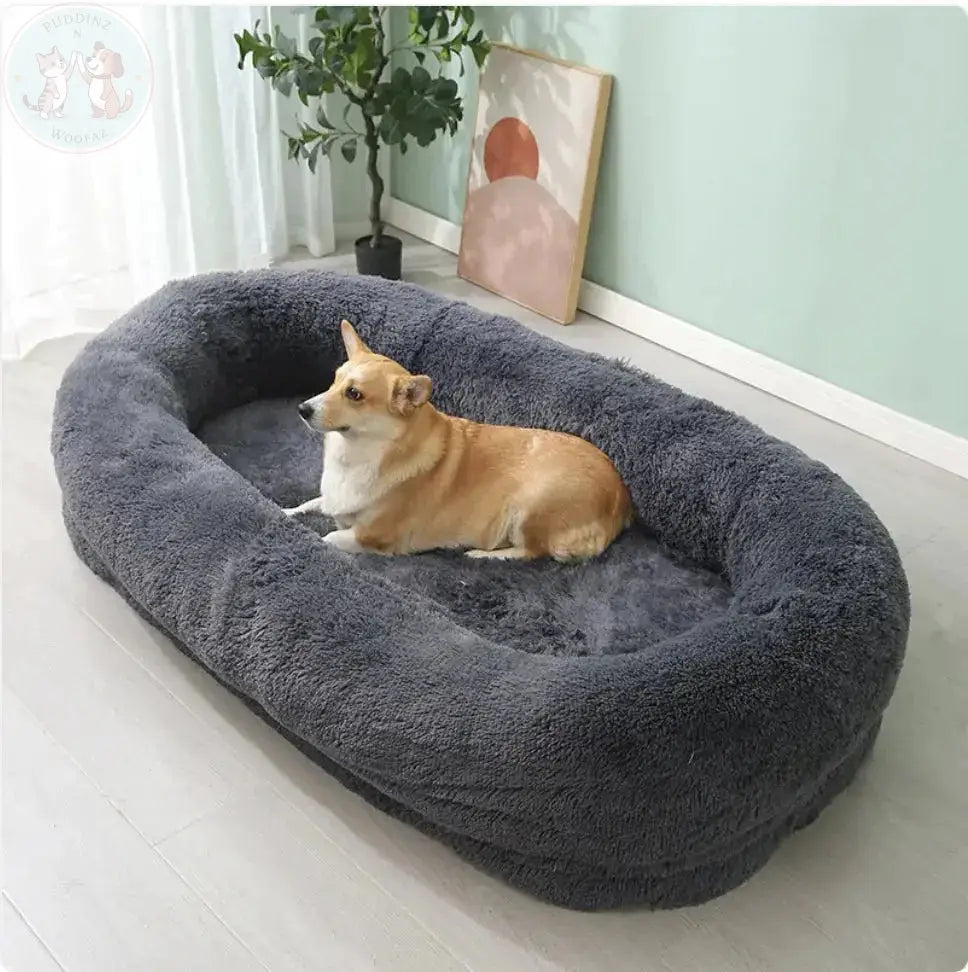 Large dog bed
