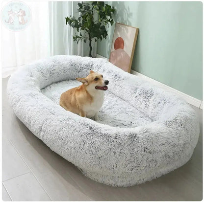 Large dog bed