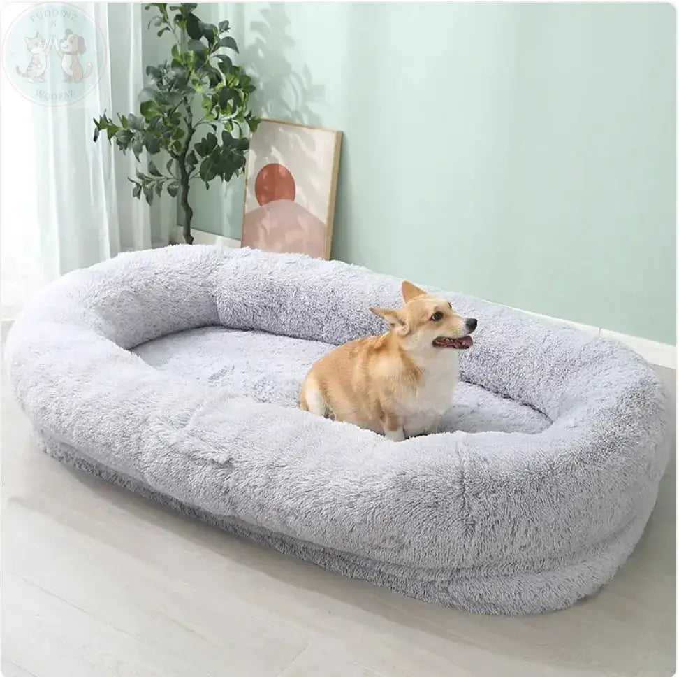 Large dog bed